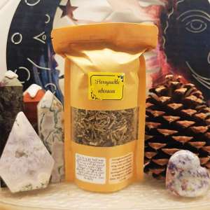 Honeysuckle Echinacea Antibiotics Infusion
