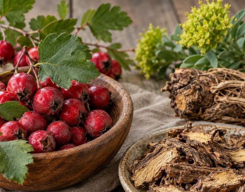 A Powerful Herbal Duo for Heart Health and Stress Relief